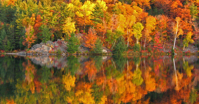 Gratitude: A Pre-requisite to Happiness image