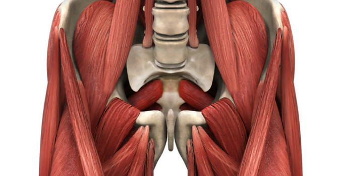My Hip Flexors are Causing Low Back Pain? image